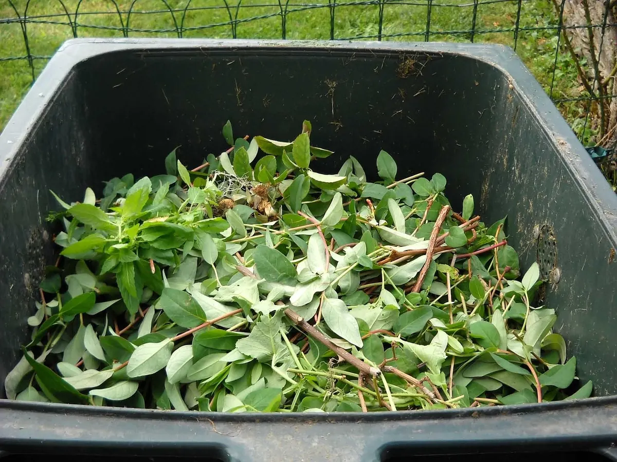 Bluebell's Curbside Composting Program: What to Put in Your Bin and When It Gets Collected